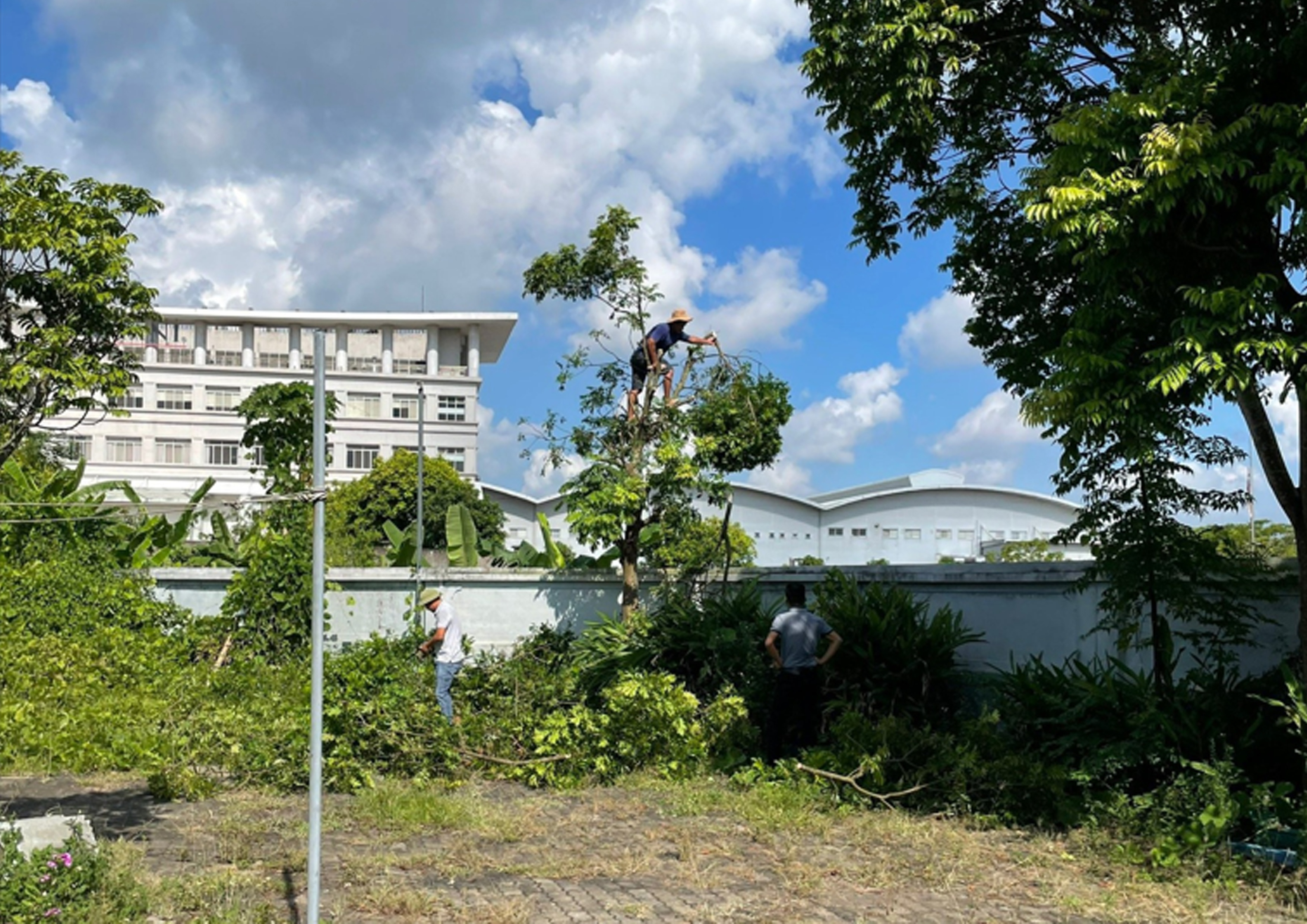 VinFast ảnh 2 VinFast anh 2