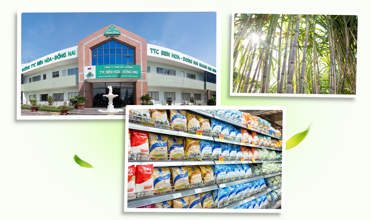 Duong Bien Hoa,  TTC anh 3