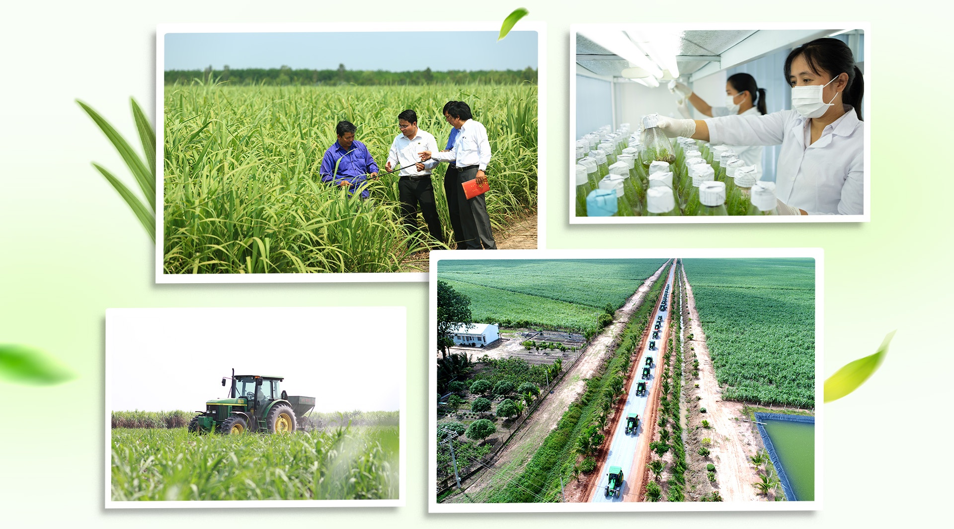 Duong Bien Hoa,  TTC anh 7