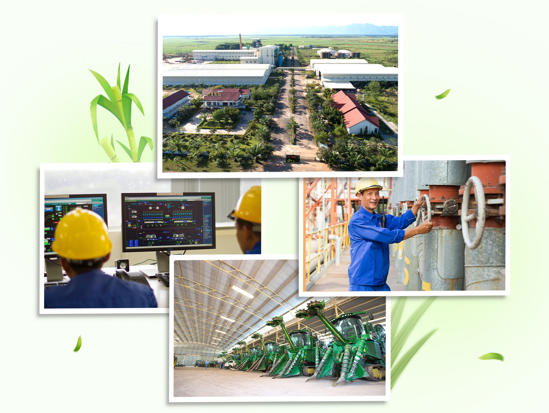 Duong Bien Hoa,  TTC anh 9