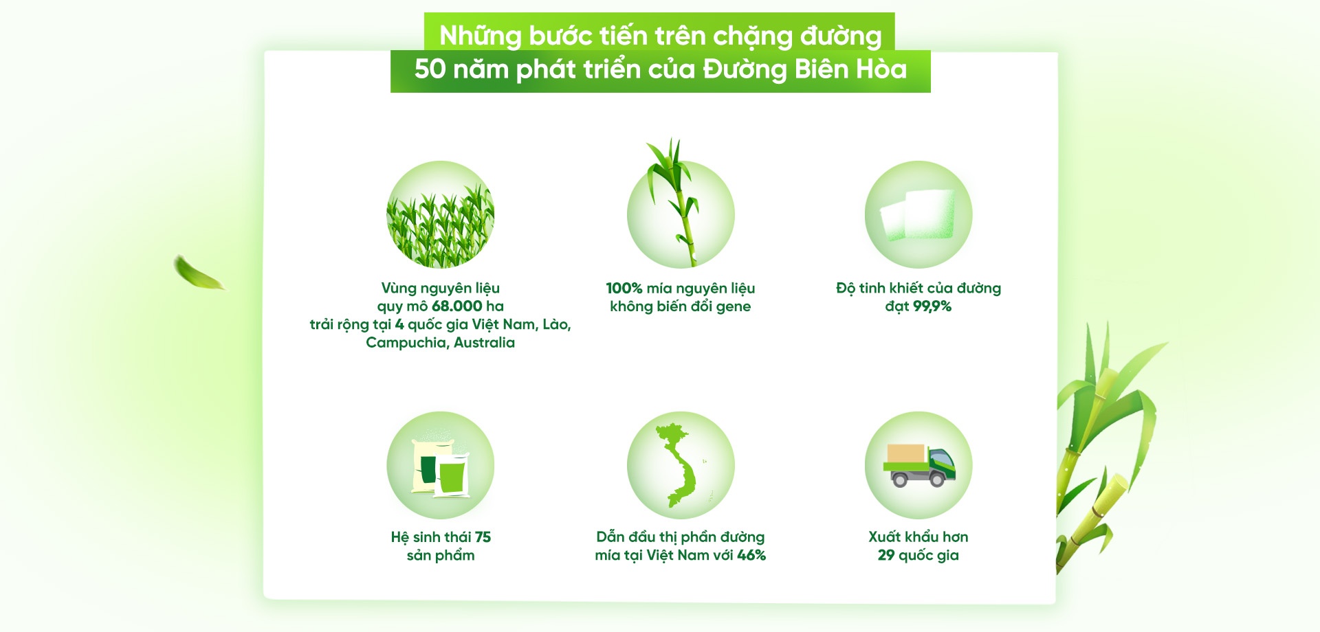 Duong Bien Hoa,  TTC anh 4