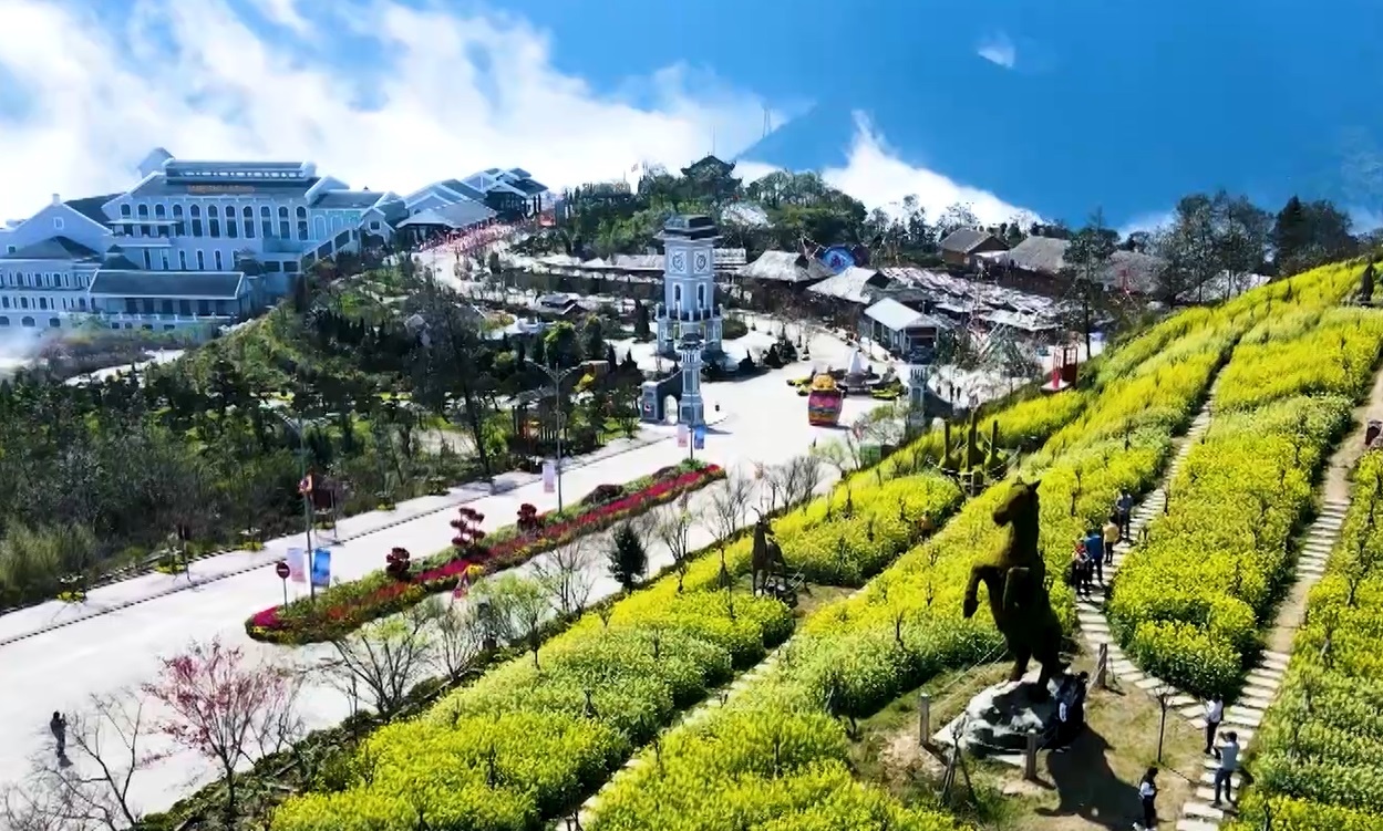 Muon hoa khoe sac to diem hoi xuan Fansipan hinh anh