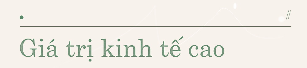 Toyota ảnh 4 Toyota anh 4