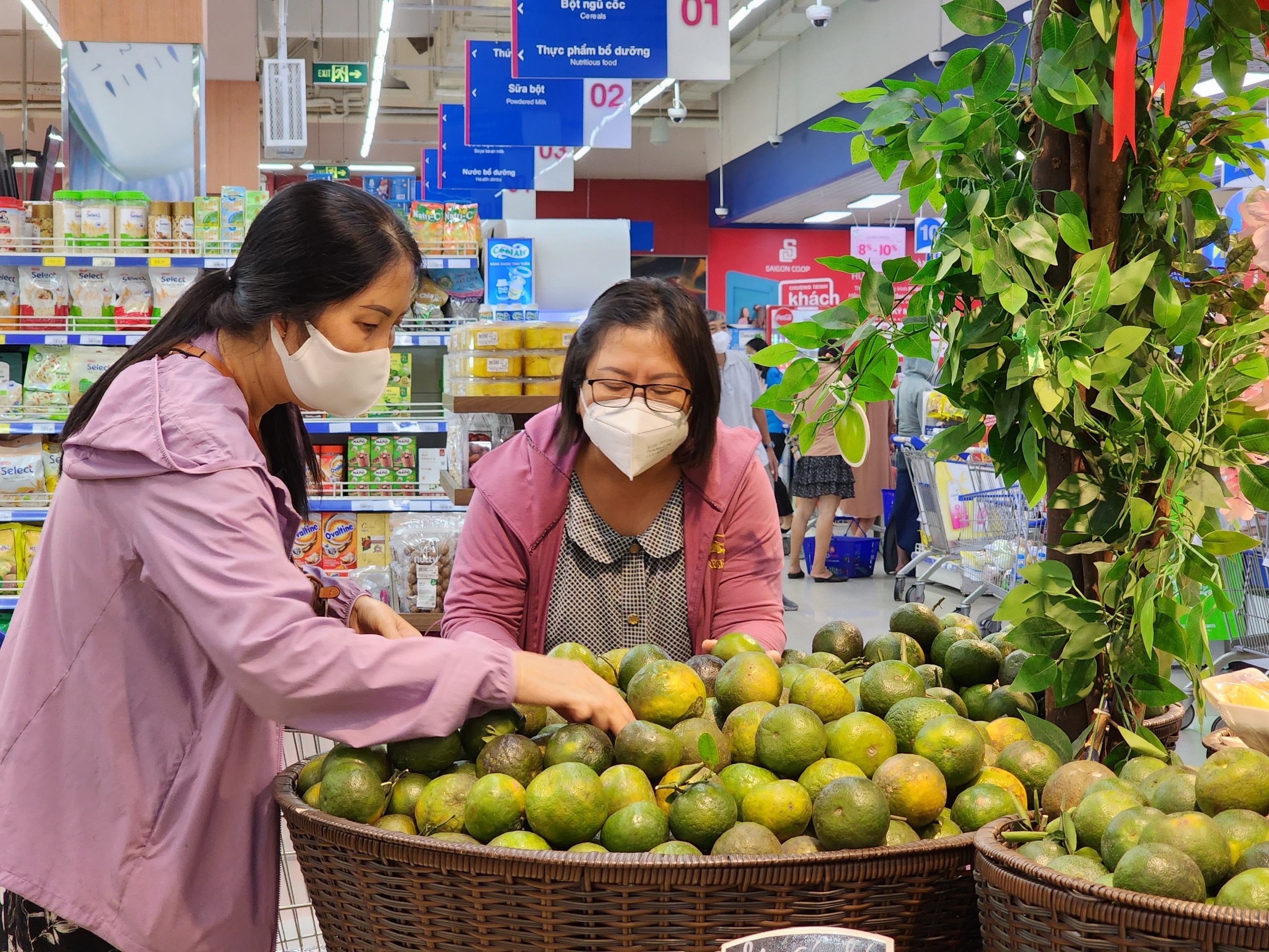 Saigon Co.op ban 100 tan cam sanh Vinh Long trong mot tuan hinh anh