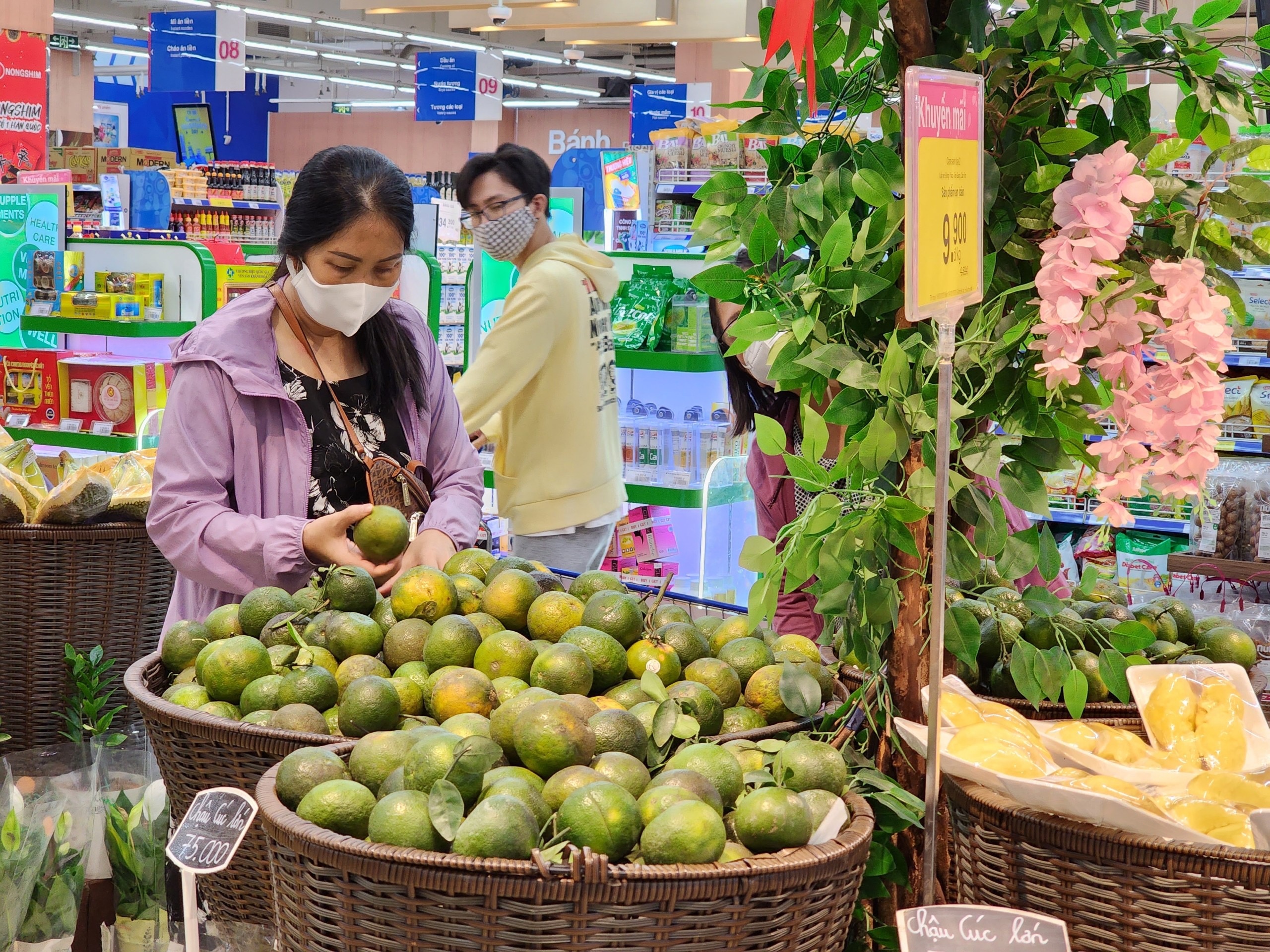 Saigon Co.op,  cam sanh Vinh Long anh 2