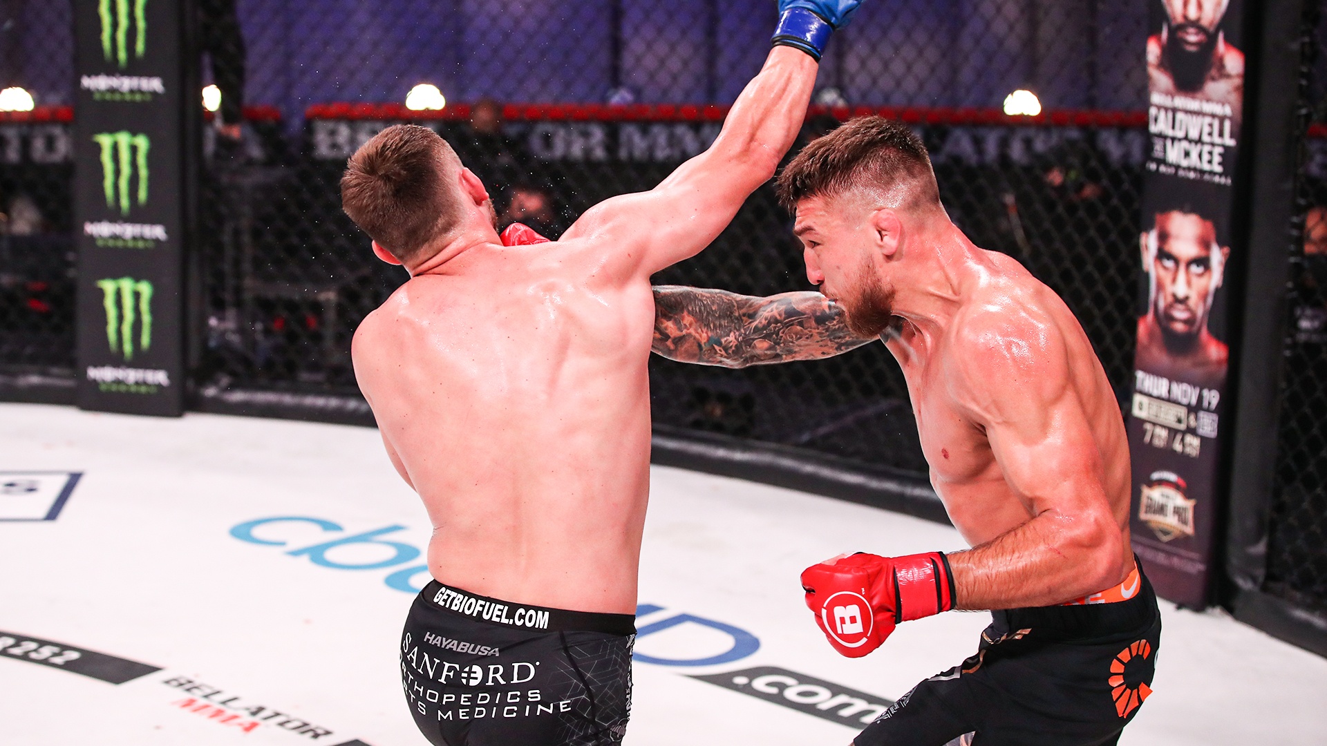 FPT Play phat doc quyen tran dau Amosov - Storley tai Bellator MMA 291 hinh anh