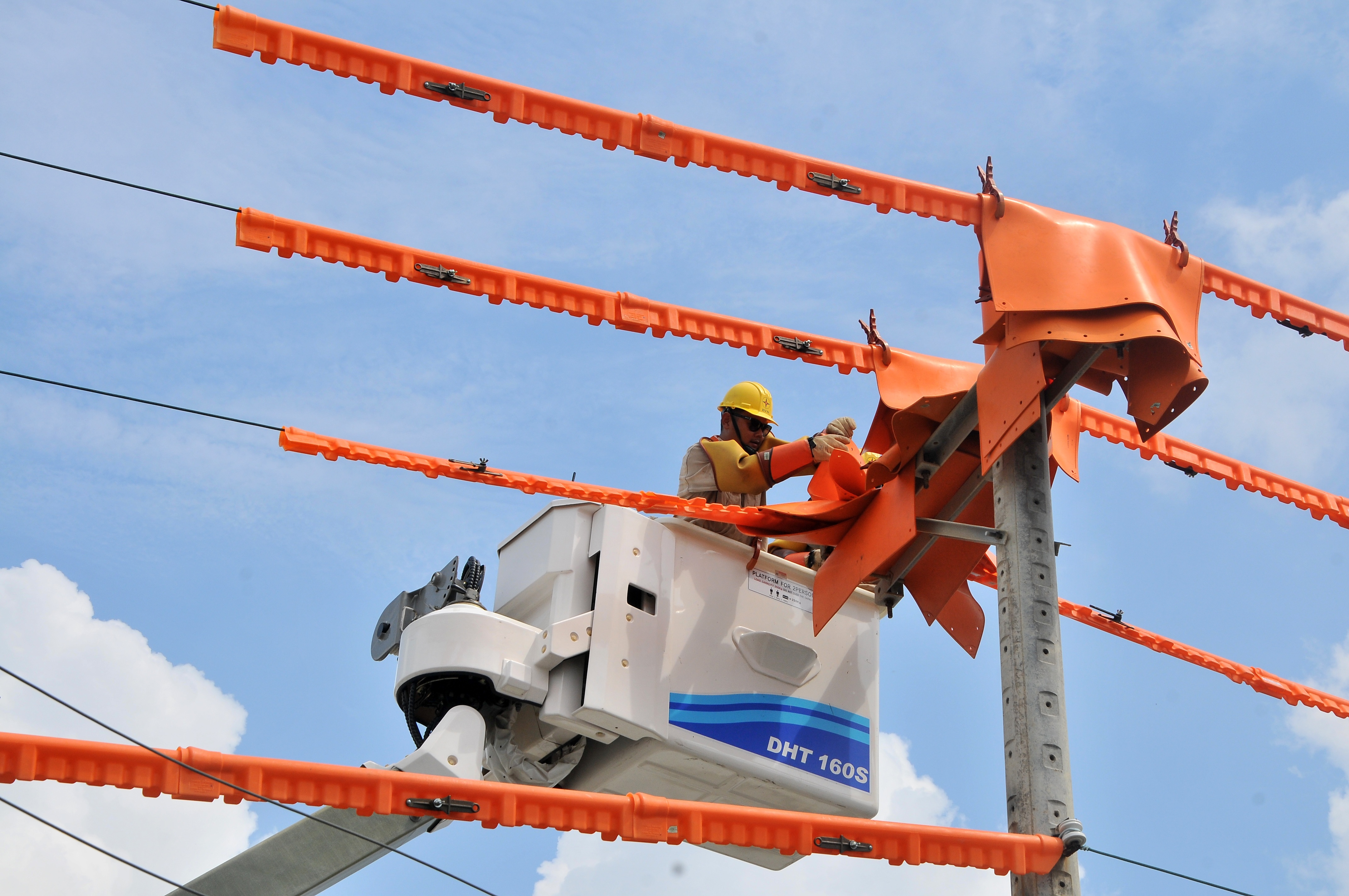 EVNSPC ảnh 4 EVNSPC anh 4