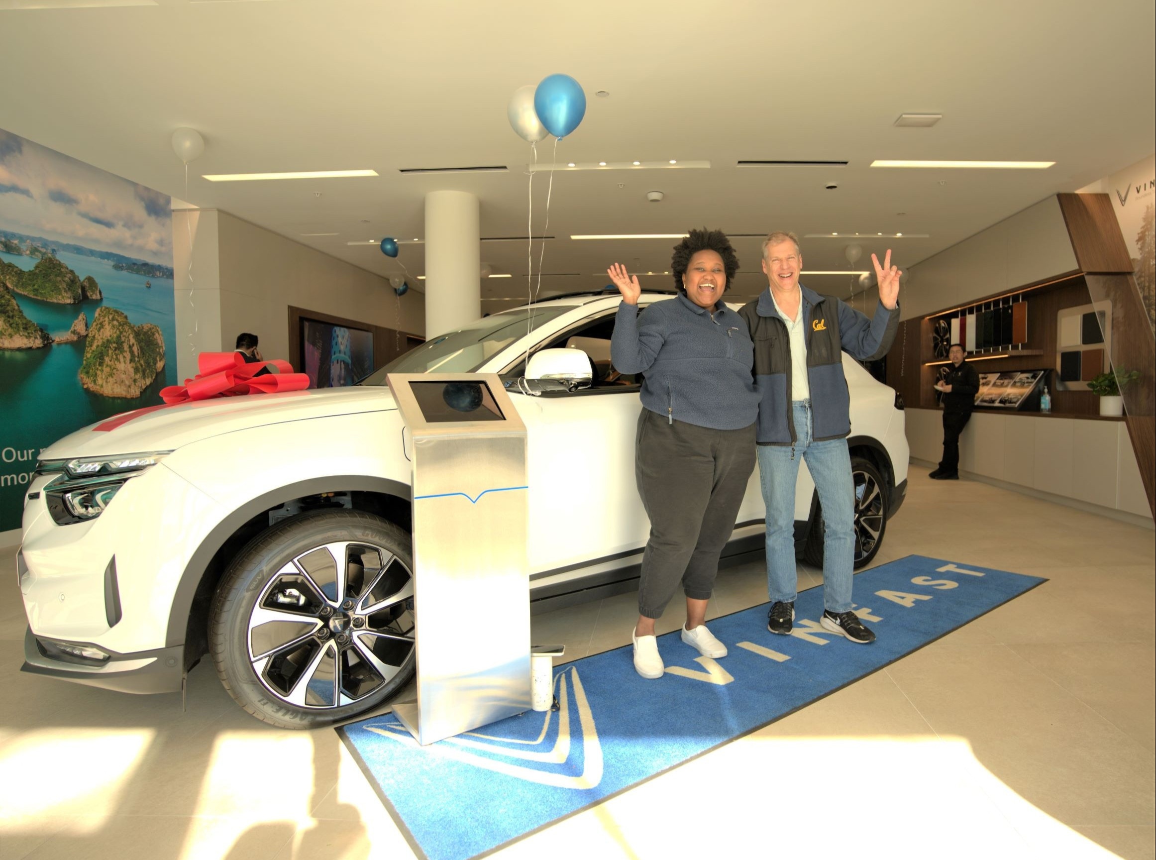 VinFast  ảnh 2 VinFast anh 2