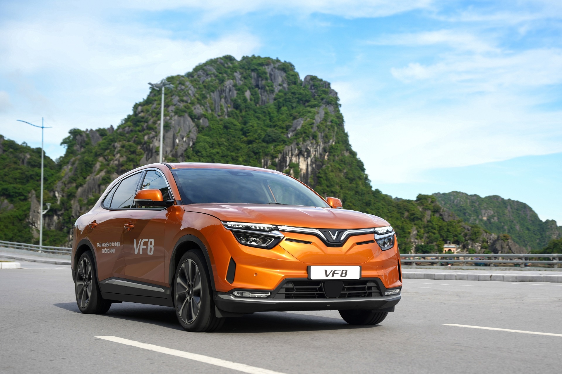 Chu tich Vingroup thanh lap cong ty cho thue xe va taxi dien VinFast hinh anh