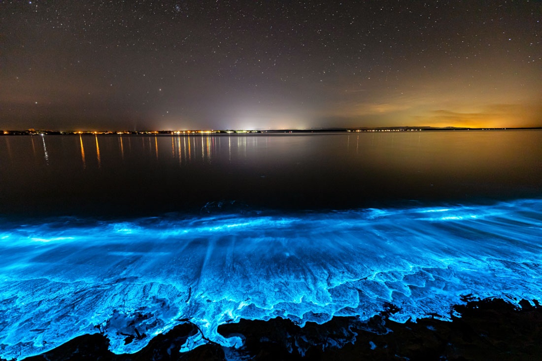 Vietjet ảnh 6 Vietjet anh 6