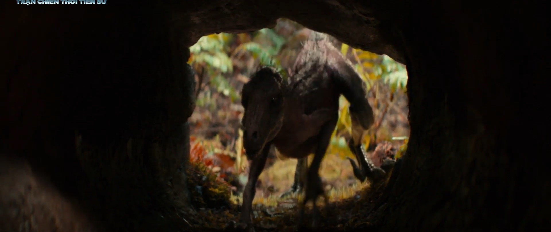 Tran chien thoi tien su anh 3