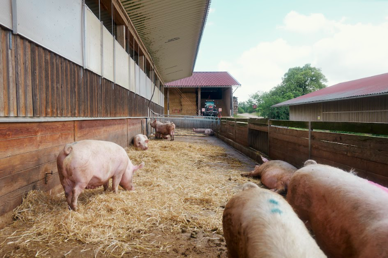 Naturland,  EU Organic anh 3