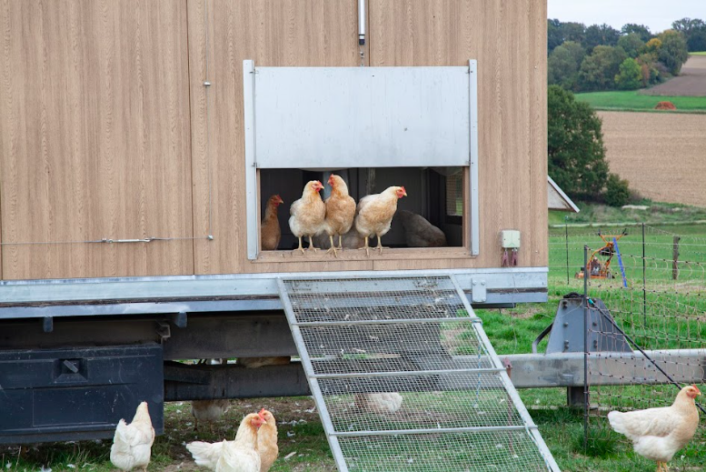 Naturland,  EU Organic anh 5