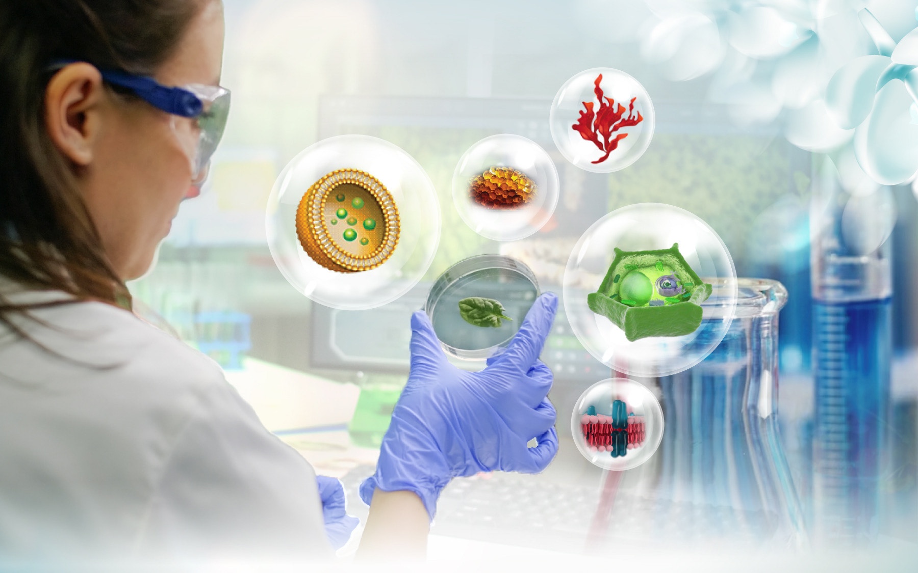 Dr.Belter - tinh hoa tu thien nhien, khoa hoc va cong nghe sinh hoc hinh anh