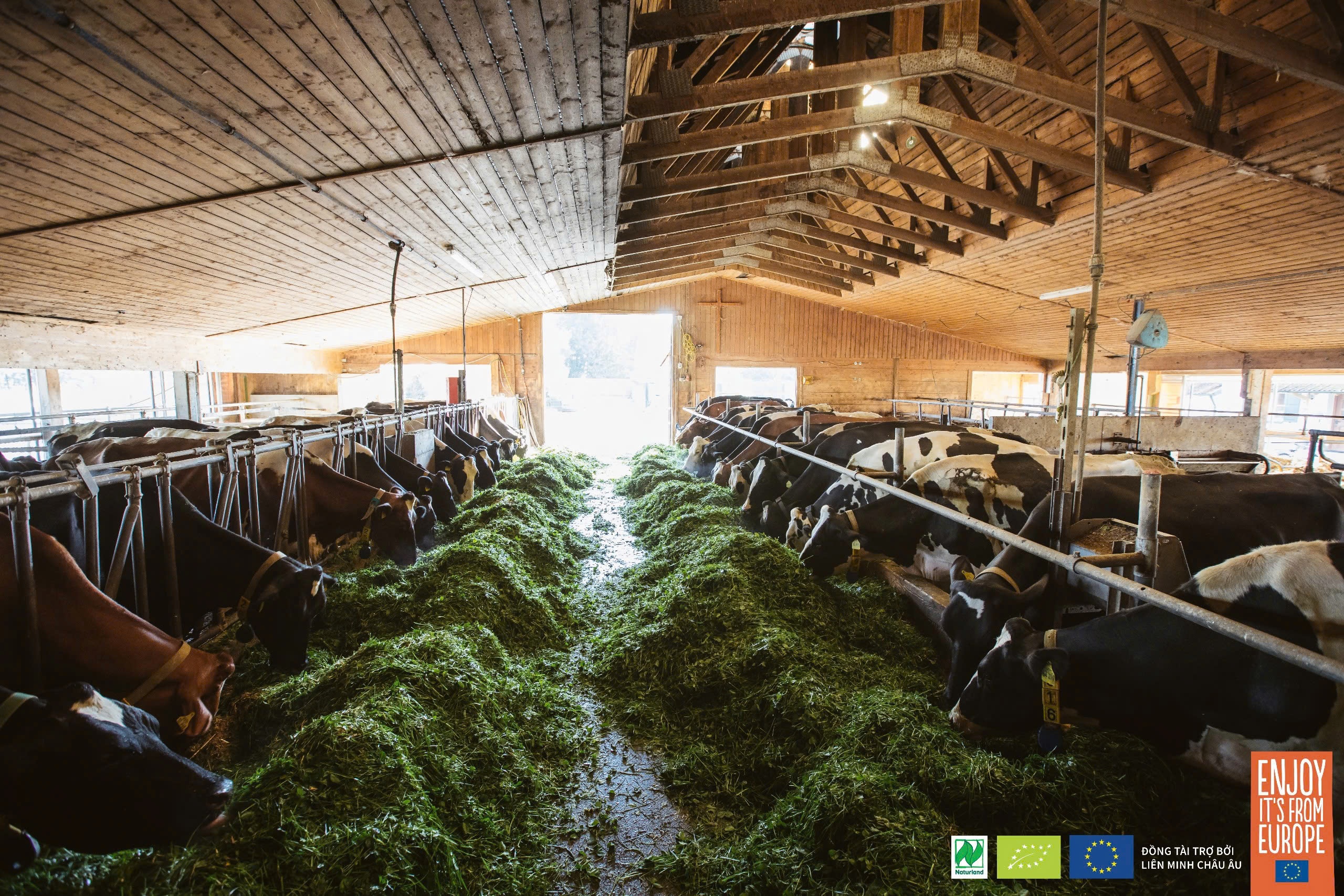 Naturland,  EU Organic anh 1