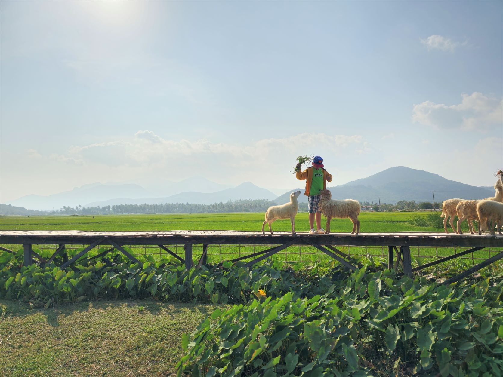 Bat tron chat dem anh 4