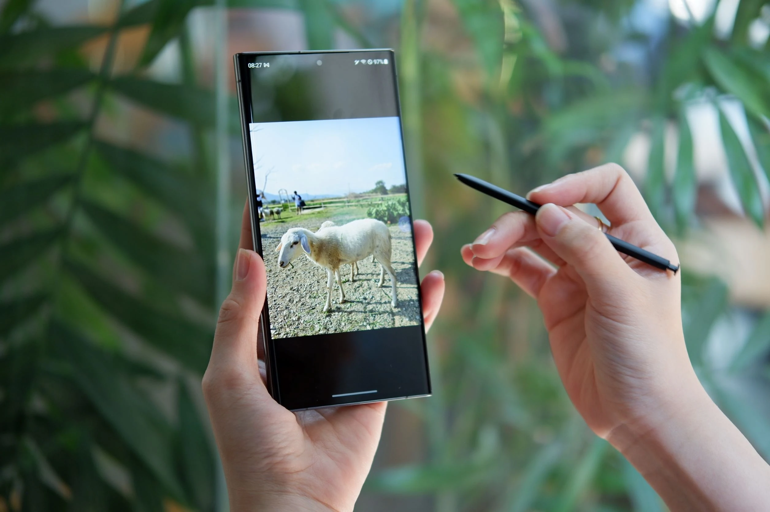 Bat tron chat dem anh 9