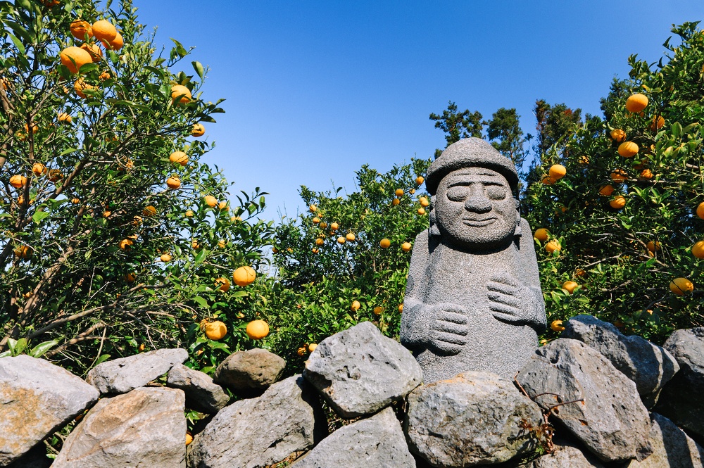dao Jeju,  hen chill voi Jeju anh 2