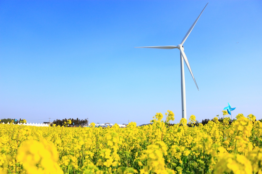 dao Jeju,  hen chill voi Jeju anh 1