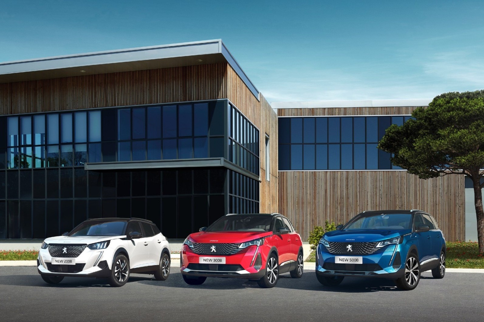 An tam va tiet kiem voi dich vu bao hanh chinh hang 5 nam cua Peugeot hinh anh