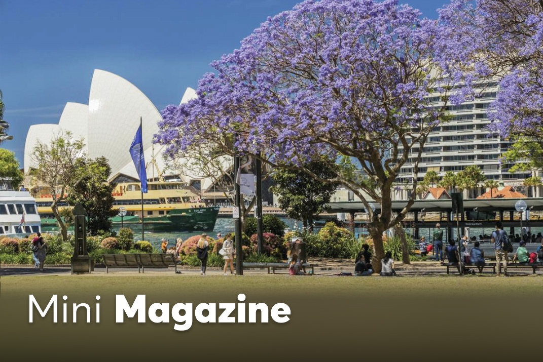 Bo tui bi kip cho hanh trinh kham pha Australia tron ven hinh anh