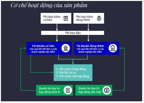 bao hiem lien ket anh 3