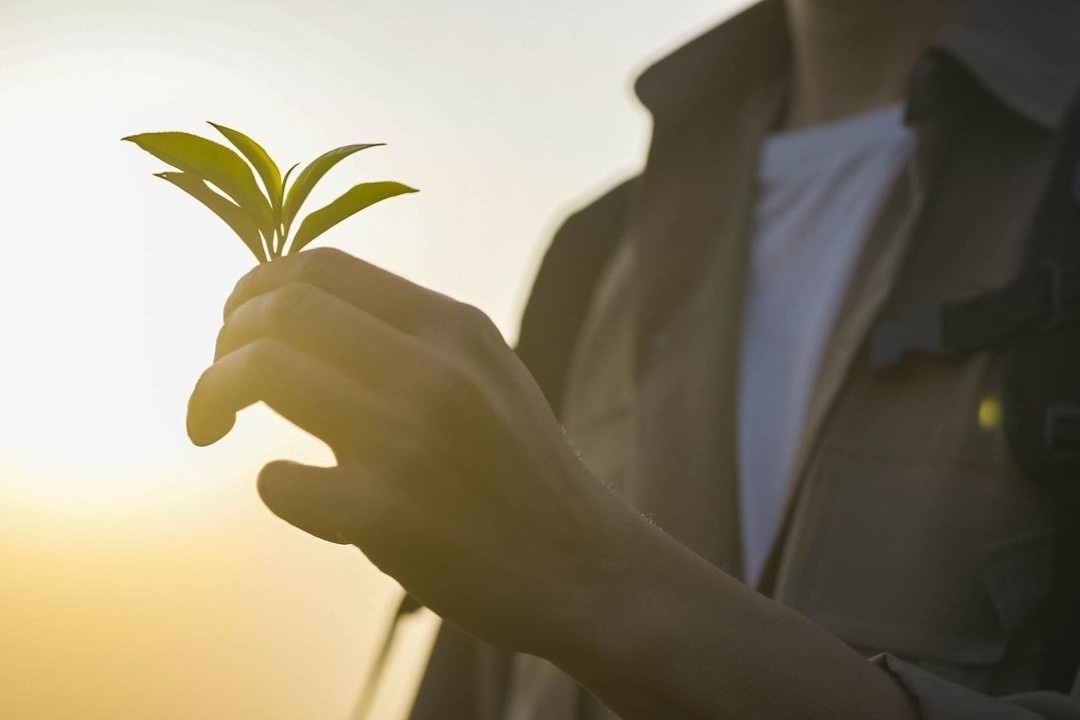 Phe La tren hanh trinh di tim not huong dac san hinh anh