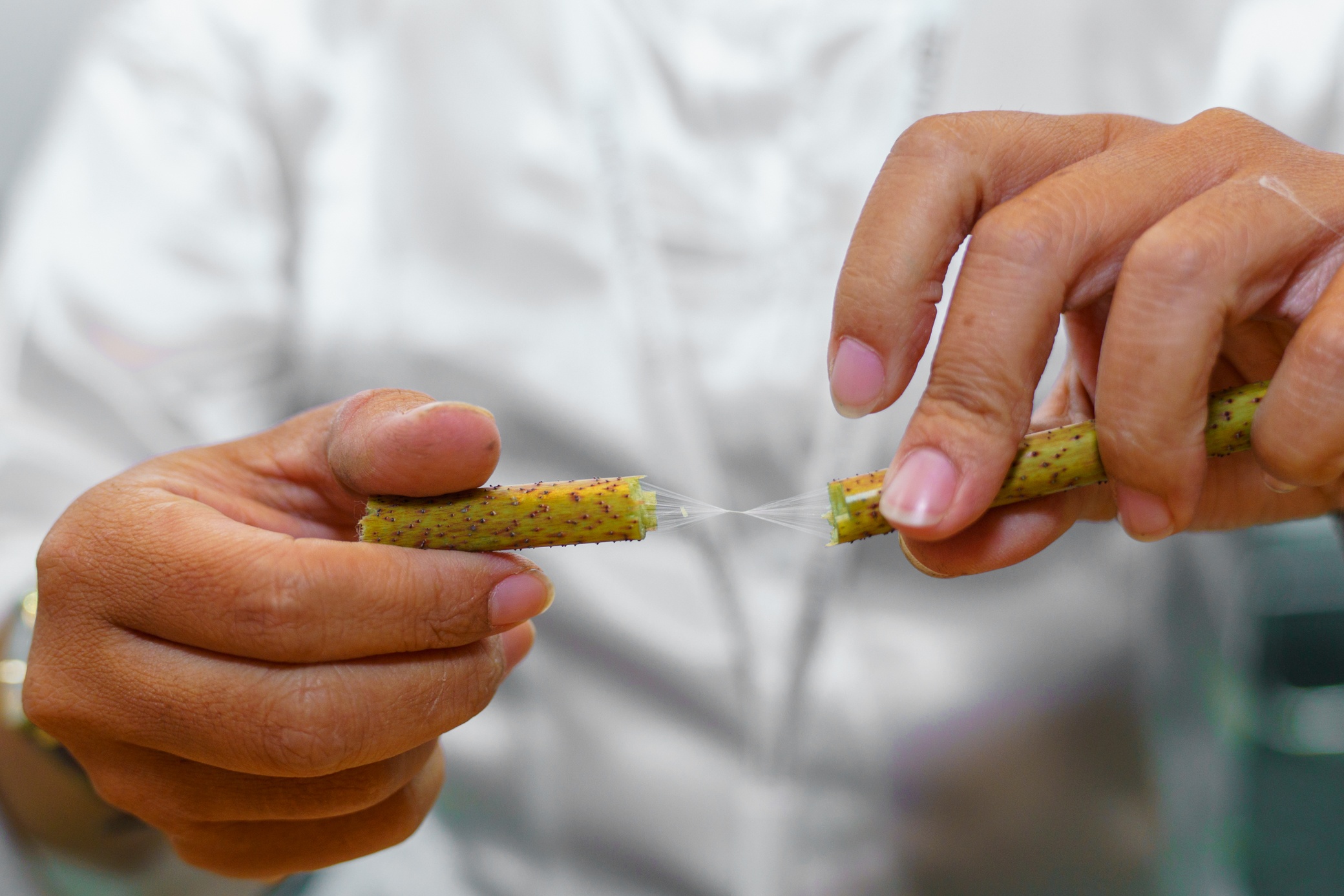 Texfuture Việt Nam 2023 ảnh 11 Texfuture Viet Nam 2023 anh 11