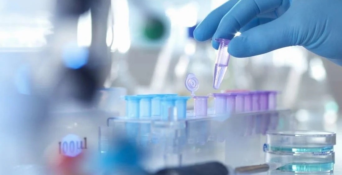 Huawei ảnh 14 Huawei anh 14