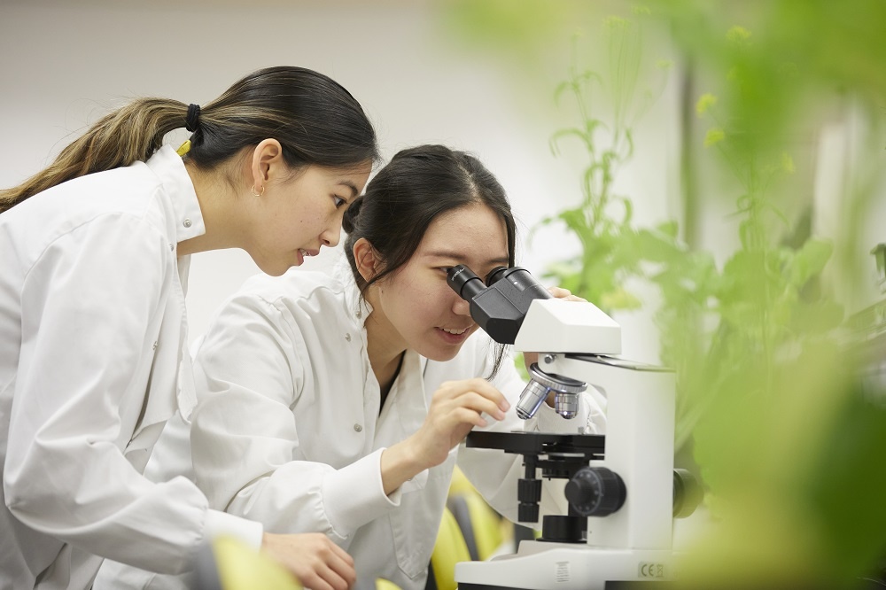 Vinschool cong bo chuong trinh du bi dai hoc lien ket voi NCUK hinh anh