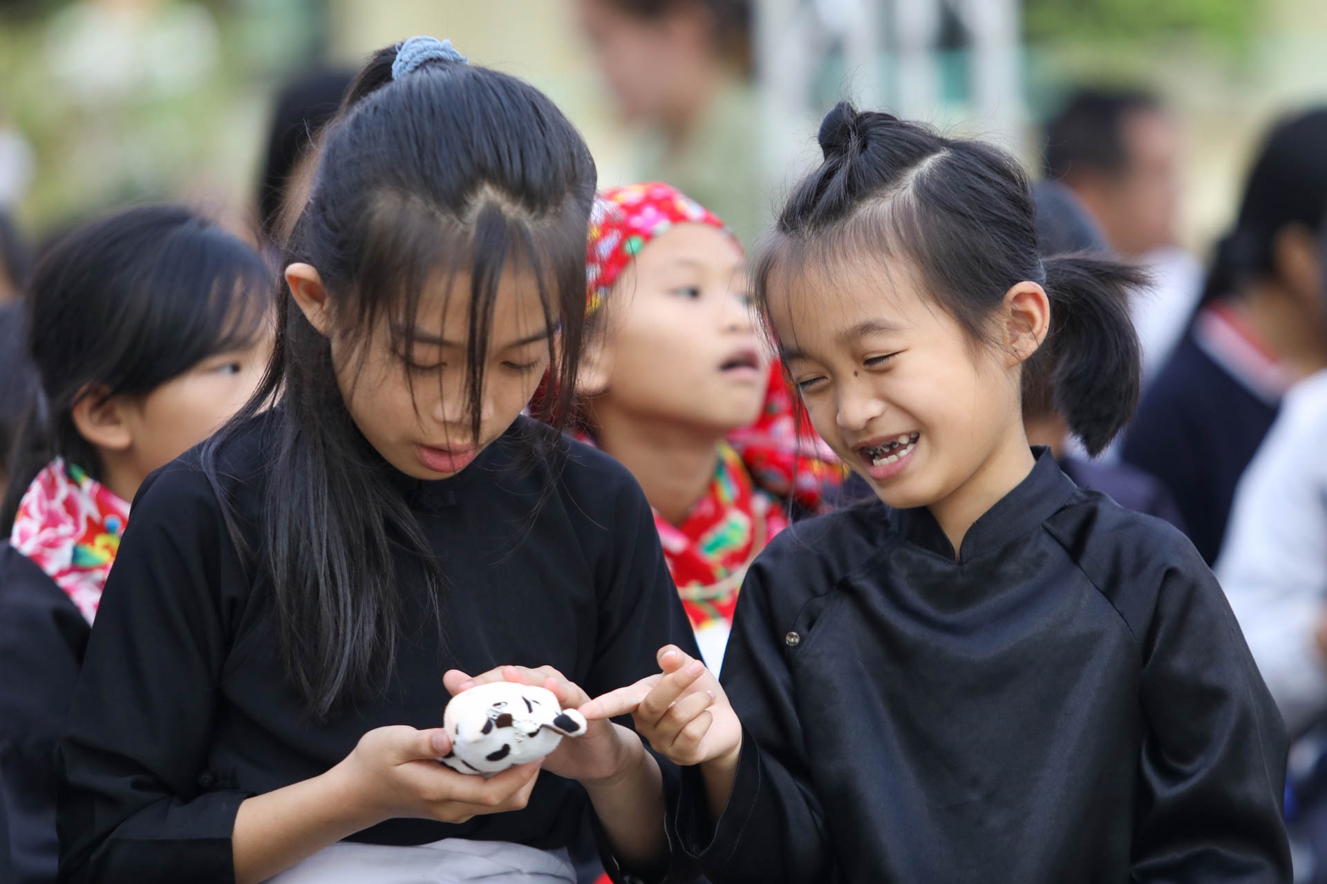 Vuon cao Viet Nam anh 7