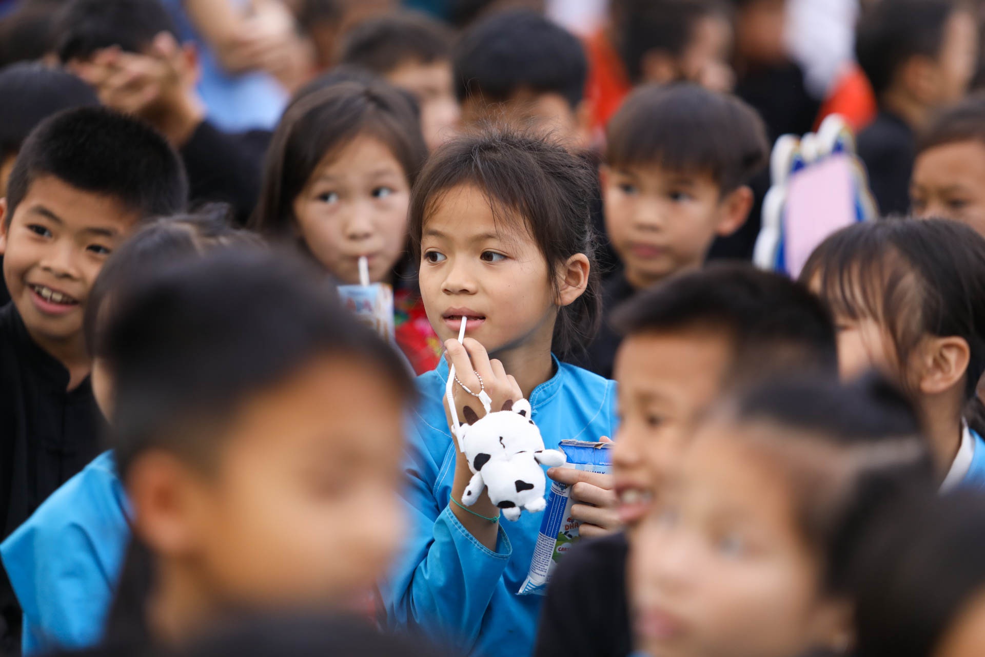 Vuon cao Viet Nam anh 8