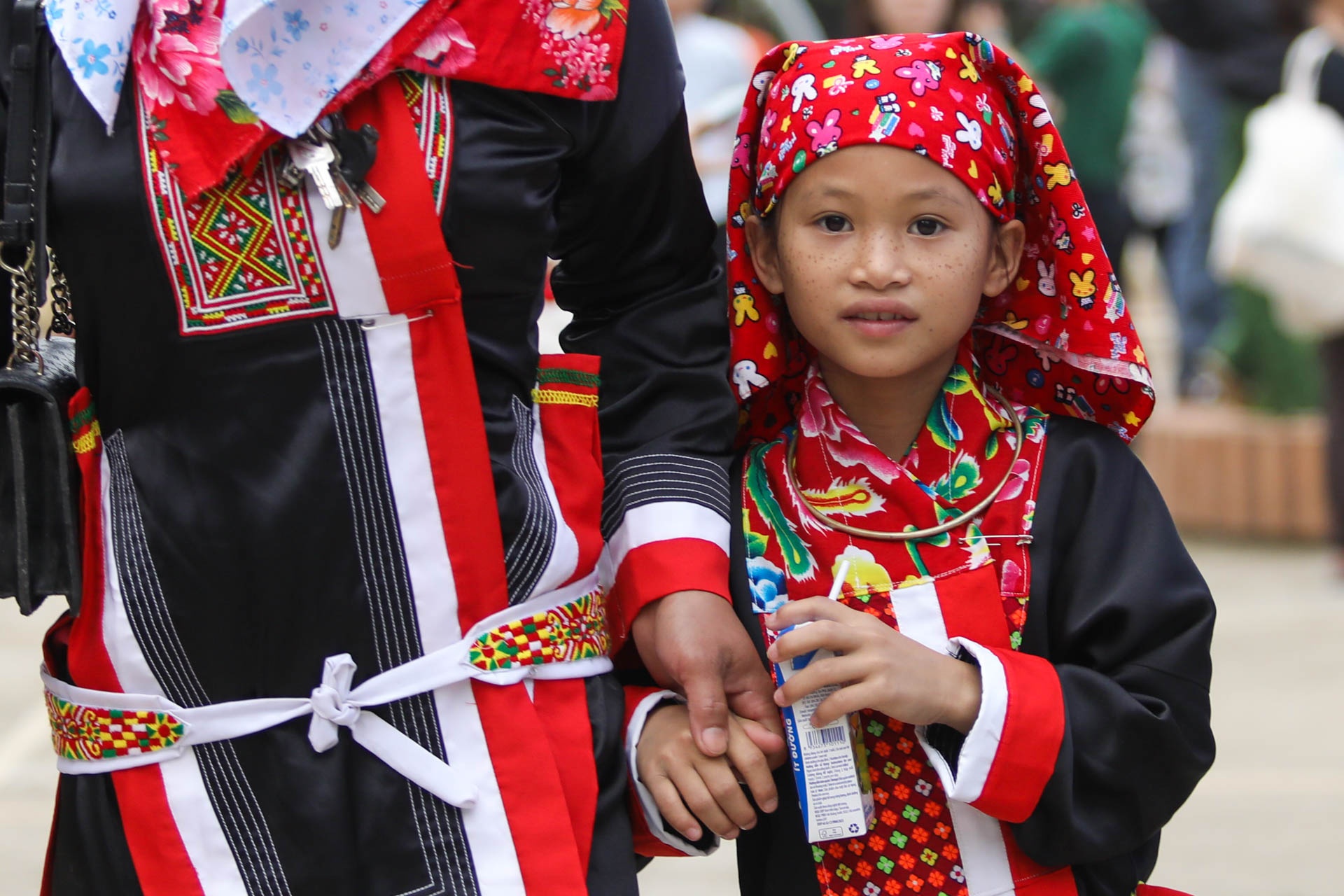 Vuon cao Viet Nam anh 3