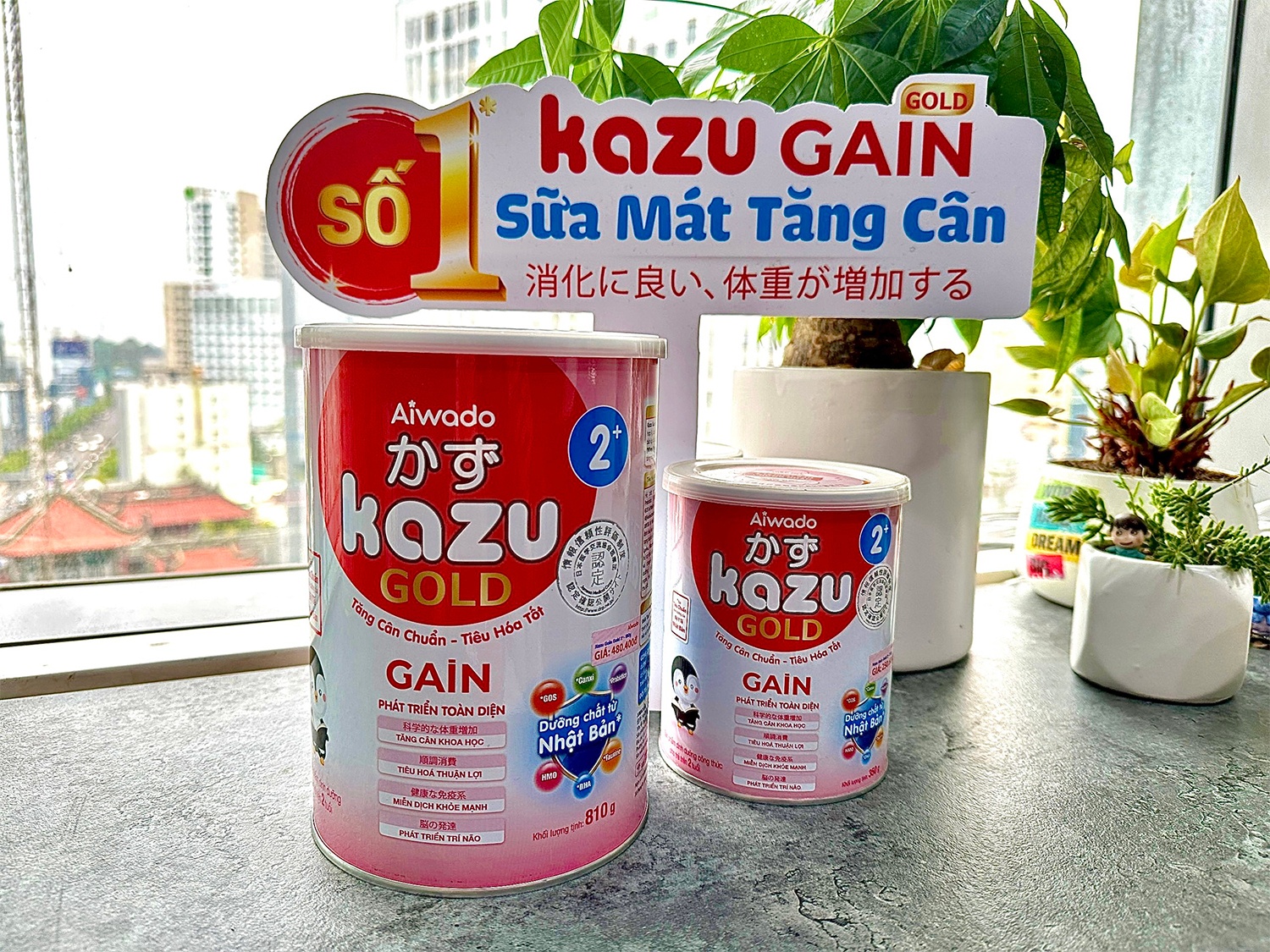 Me bim tin dung sua mat tang can Kazu Gain Gold hinh anh