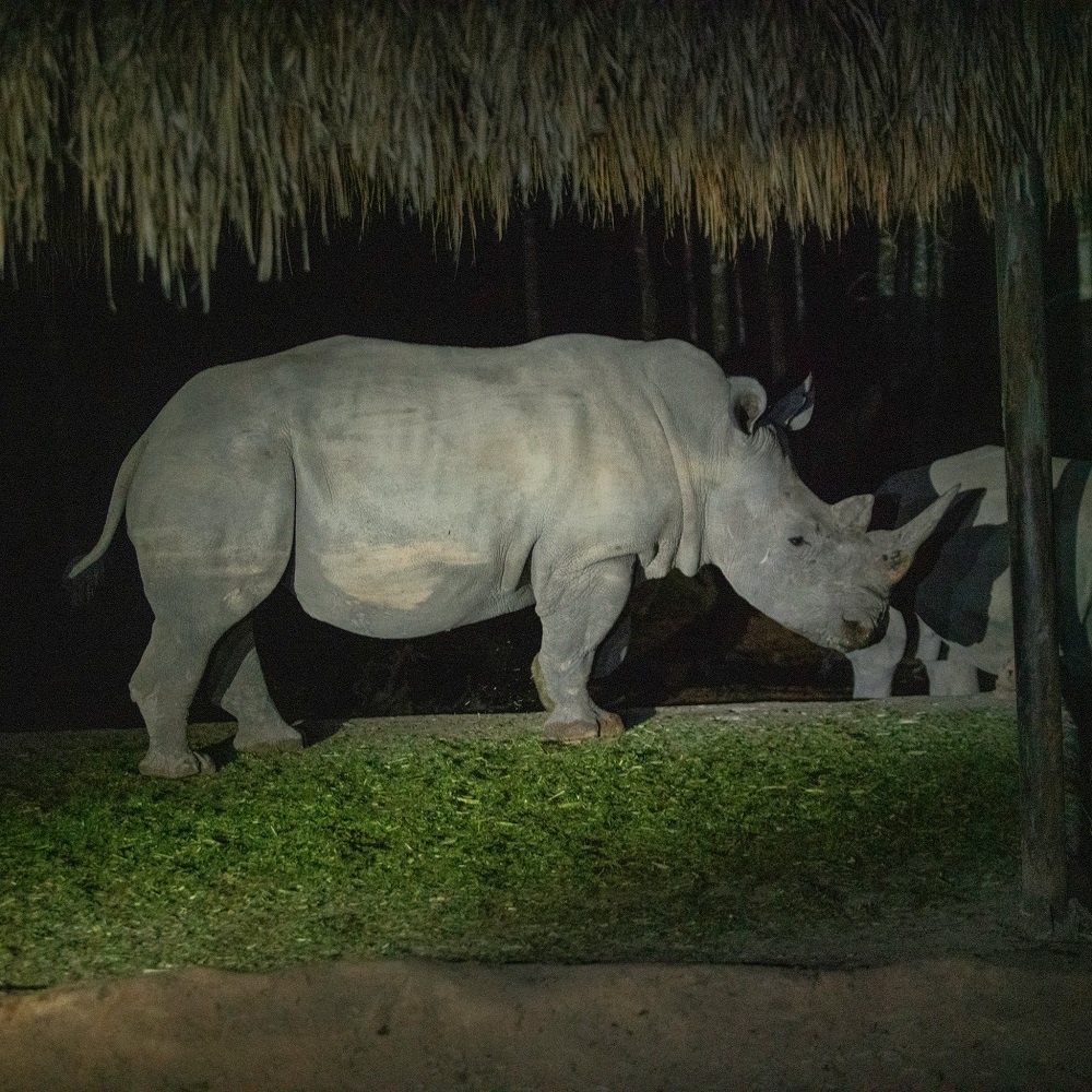 Phú Quốc United Center ảnh 6 Phu Quoc United Center anh 6