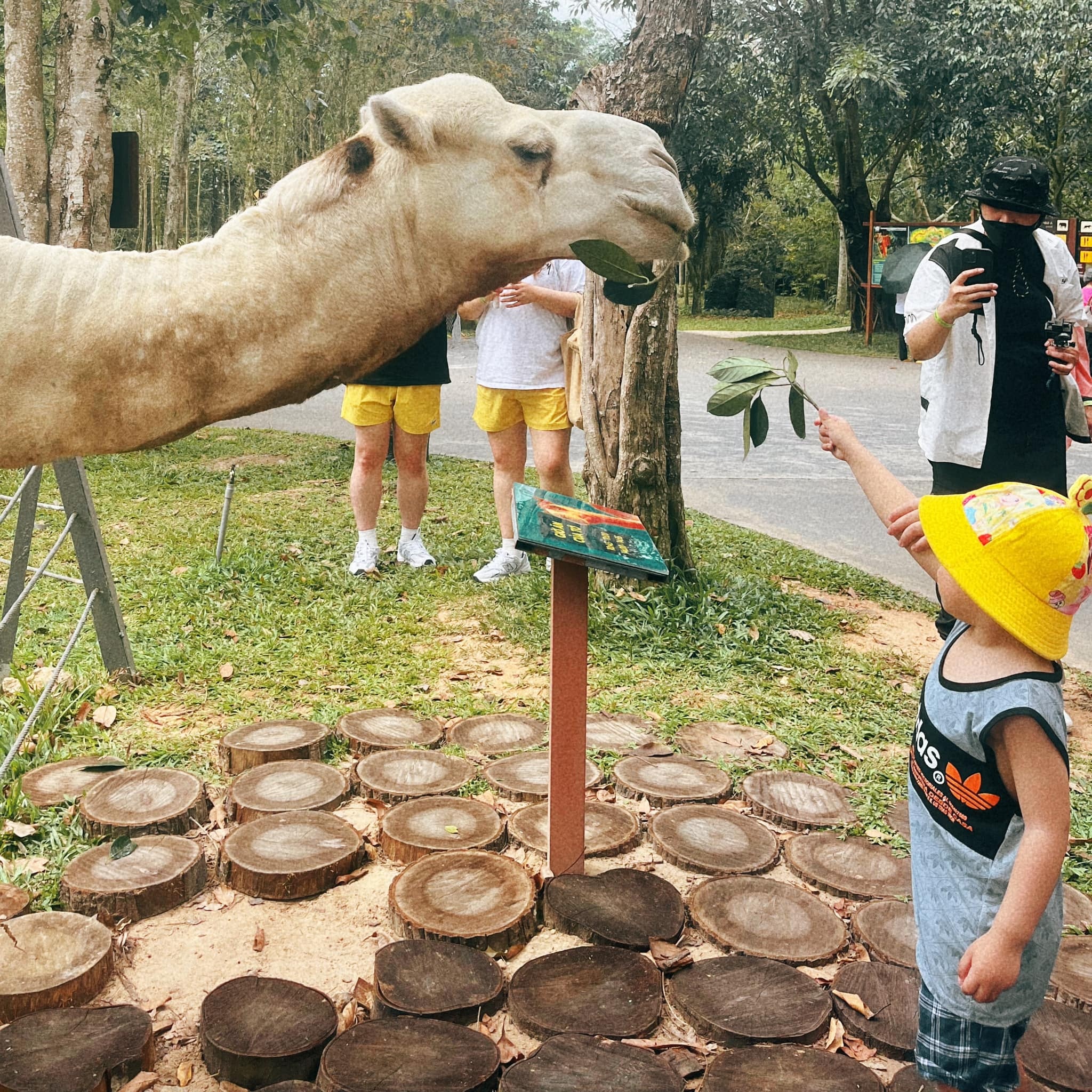 Phú Quốc United Center ảnh 5 Phu Quoc United Center anh 5