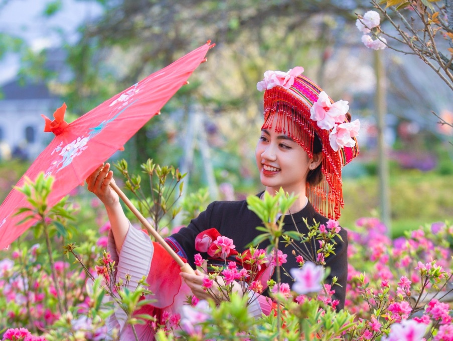 Sa Pa to chuc le hoi hoa hong quy mo dip 30/4 hinh anh