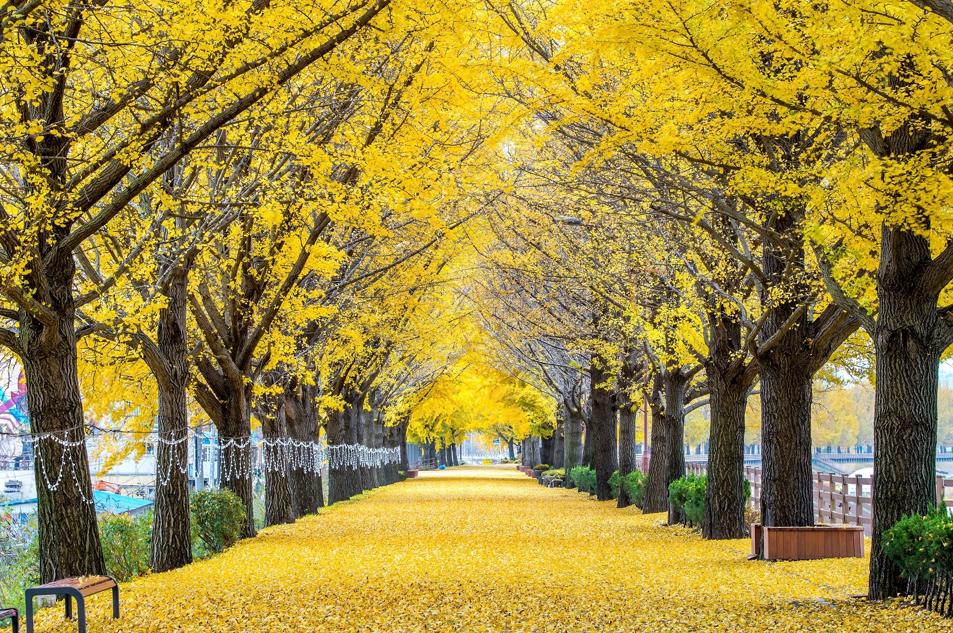 Samsung Windfree anh 1