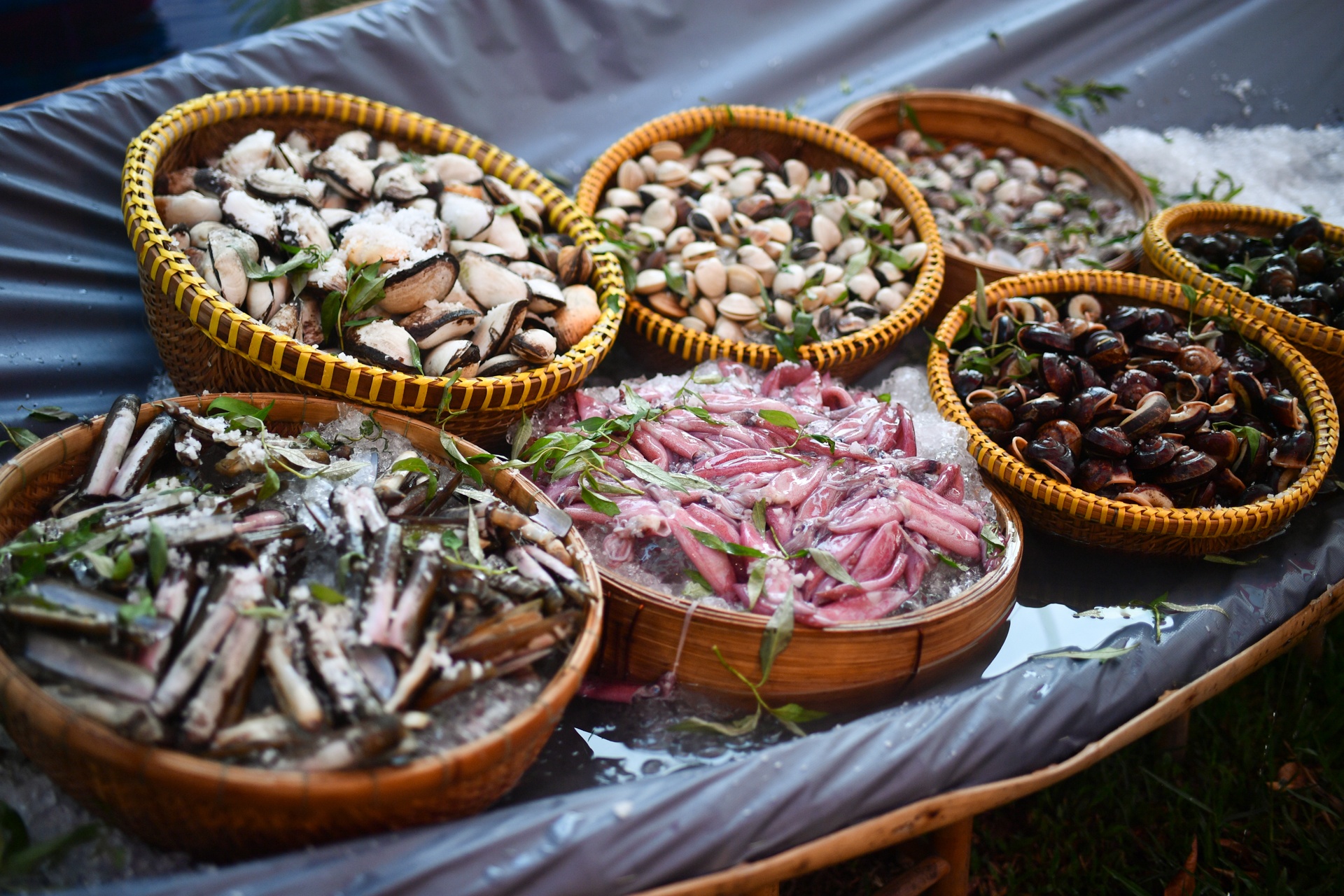 Van hoa am thuc,  Saigontourist Group 2023 anh 11