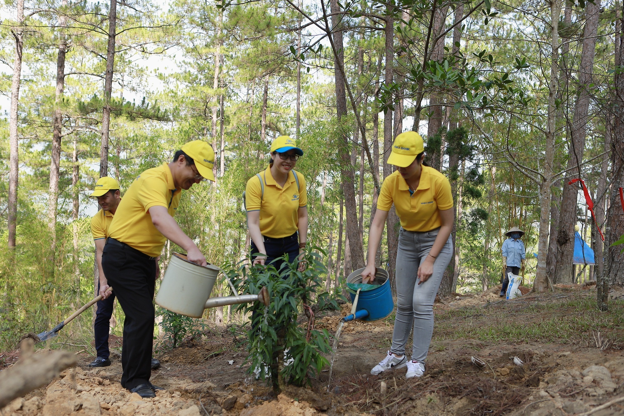 Nam A Bank,  xay cau giao thong anh 5