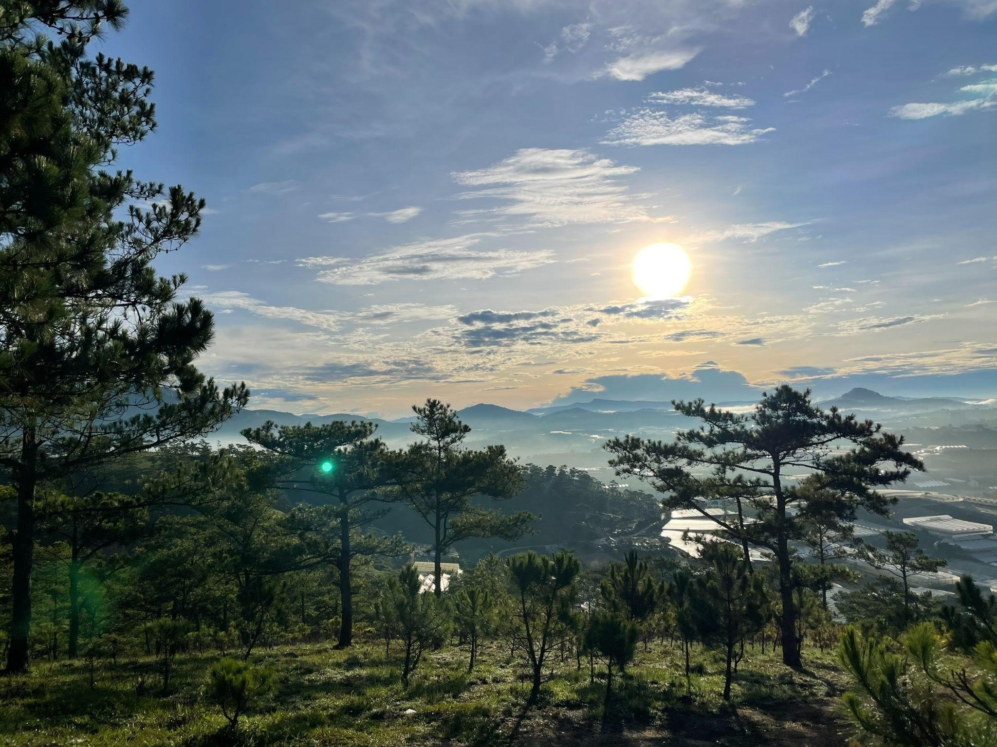 Kiki,  Zalo  ảnh 4 Kiki,  Zalo anh 4