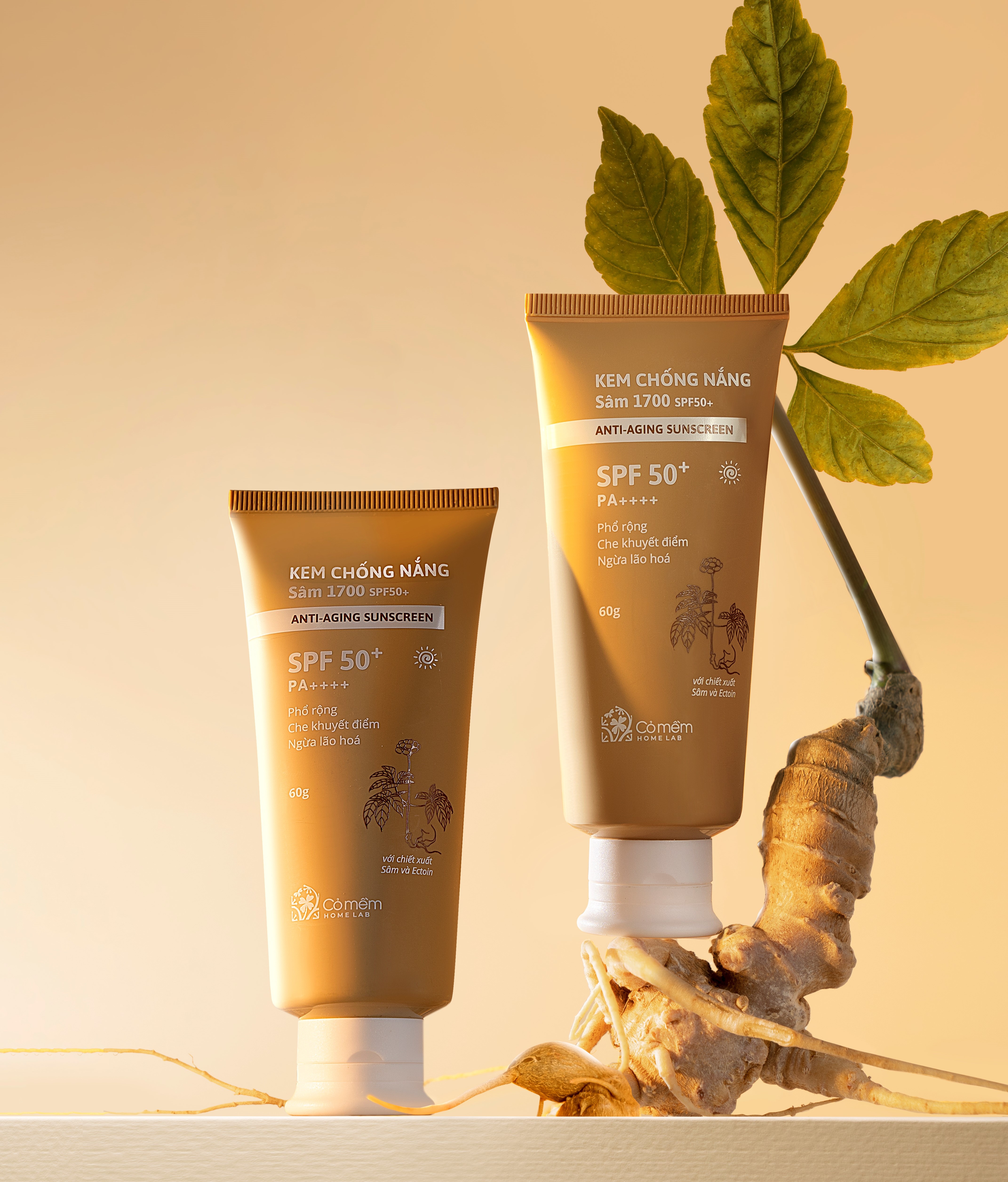 Co Mem,  Sam 1700 anh 4