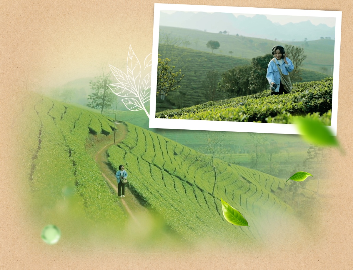 O Long sua Phe La anh 4