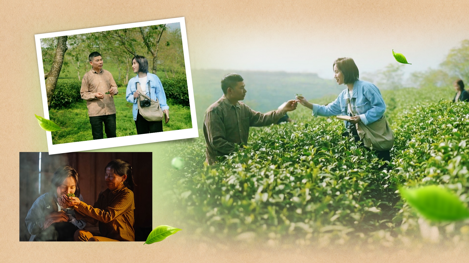 Ô Long sữa Phê La ảnh 5 O Long sua Phe La anh 5