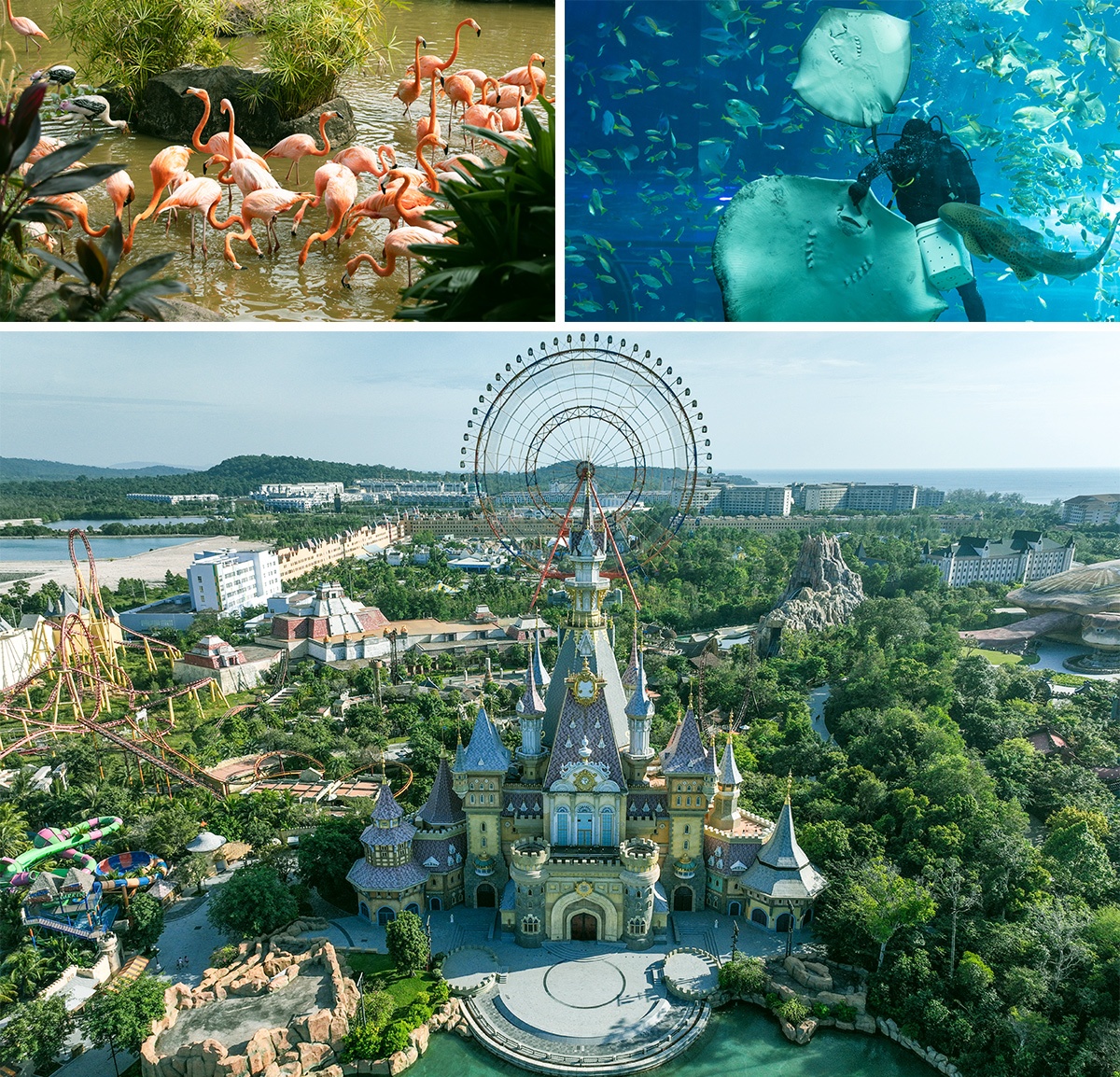 Phu Quoc United Center anh 2