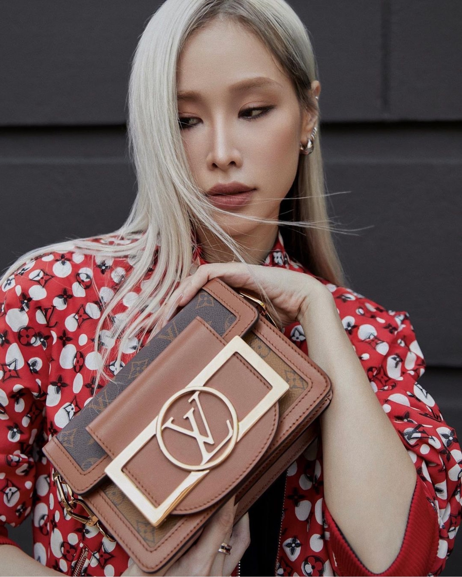 Túi Louis Vuitton  ảnh 8 Tui Louis Vuitton anh 8