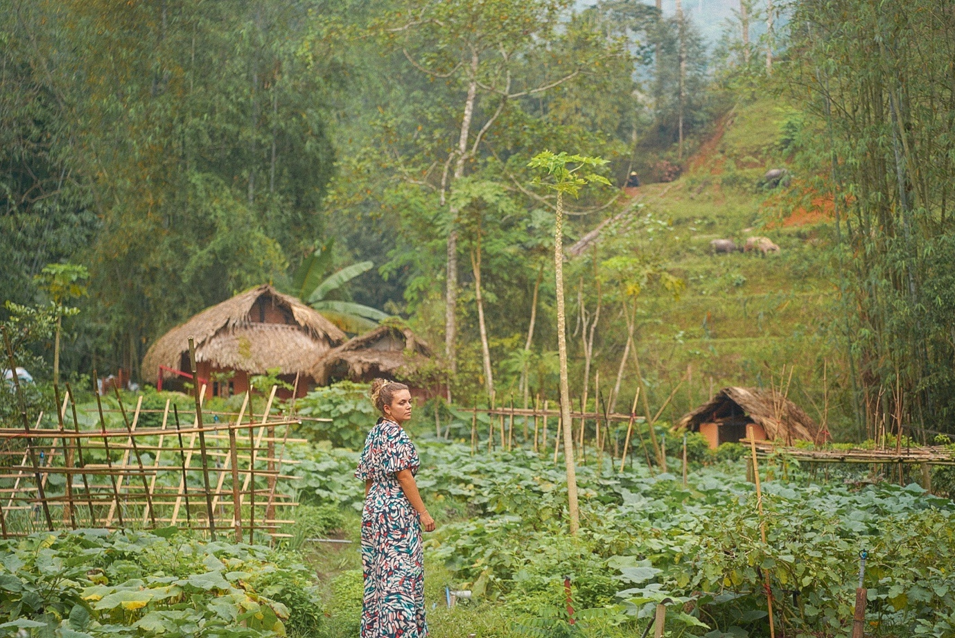 Panhou Retreat - 'tram sac' cho tam hon hinh anh