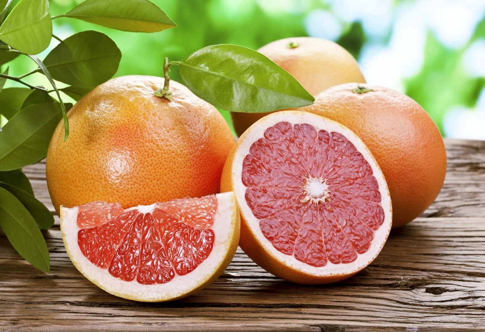 Nutifood ảnh 1 Nutifood anh 1