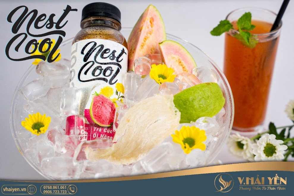 Nestcool anh 2