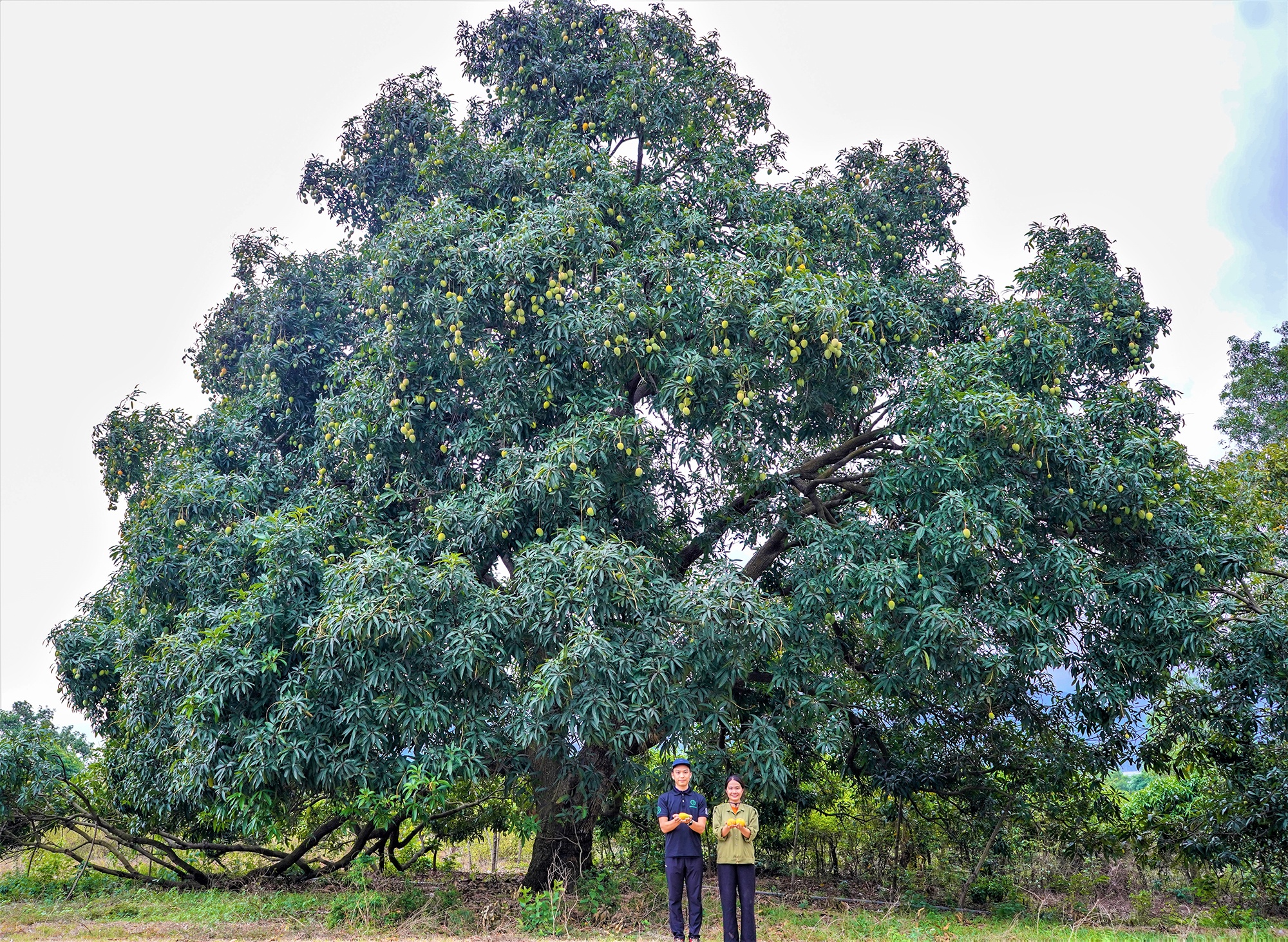 Shopee,  FoodMap anh 2